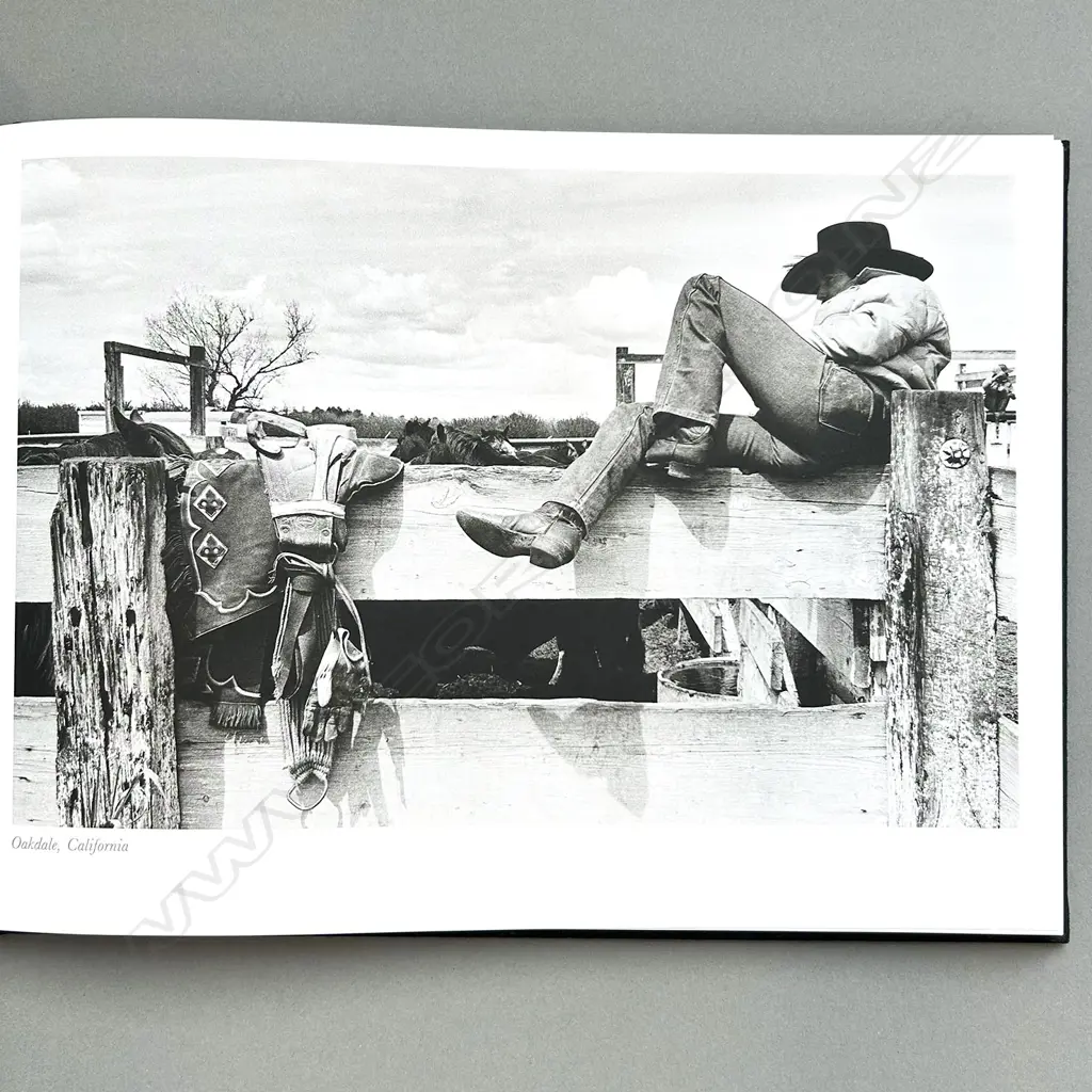 NORMAN MAUSKOPF: RODEO Image 1++